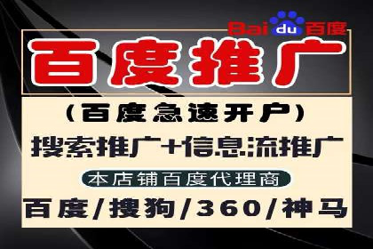 SEM专员的角色与成功案例解析